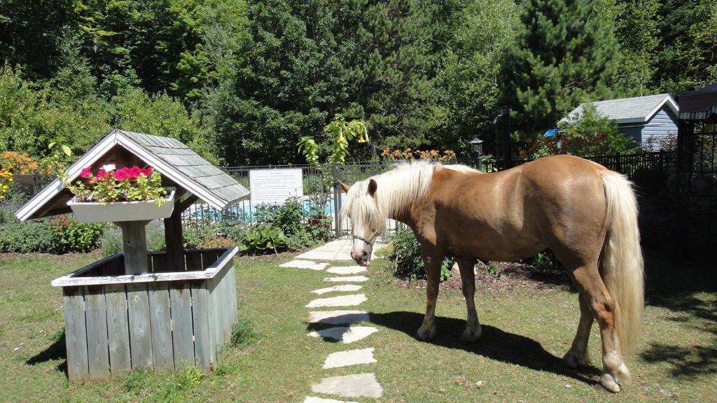 Auberge Le Cheval Bleu Saint-Alphonse-Rodriguez Eksteriør bilde